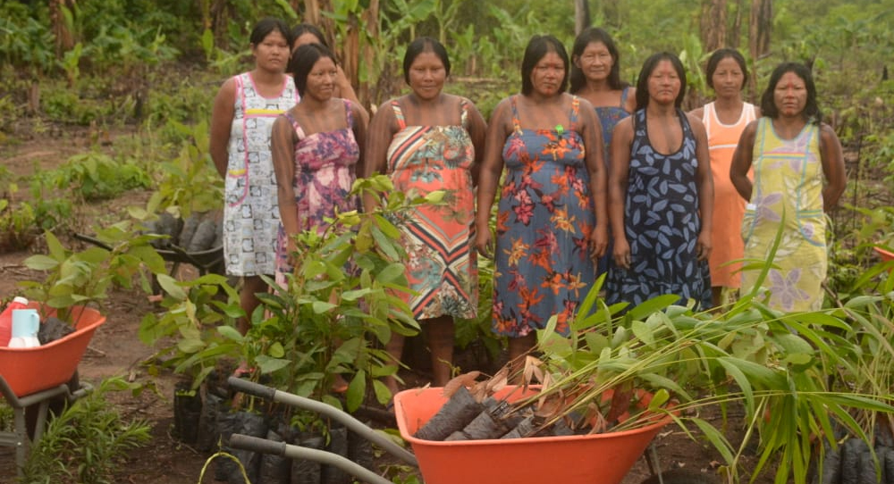 Mulheres e jovens plantam pomares nas aldeias