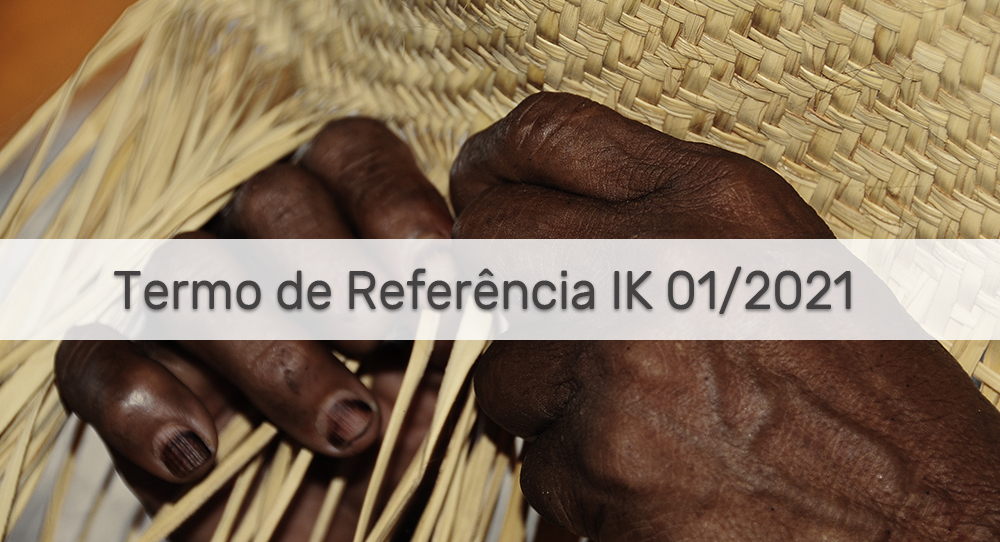 Projeto “Gestão Sustentável dos Territórios Kayapó-Panará no Sudeste da Amazônia”