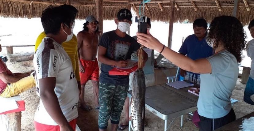 Monitoramento fará diagnóstico das condições dos peixes do Rio Pixaxá