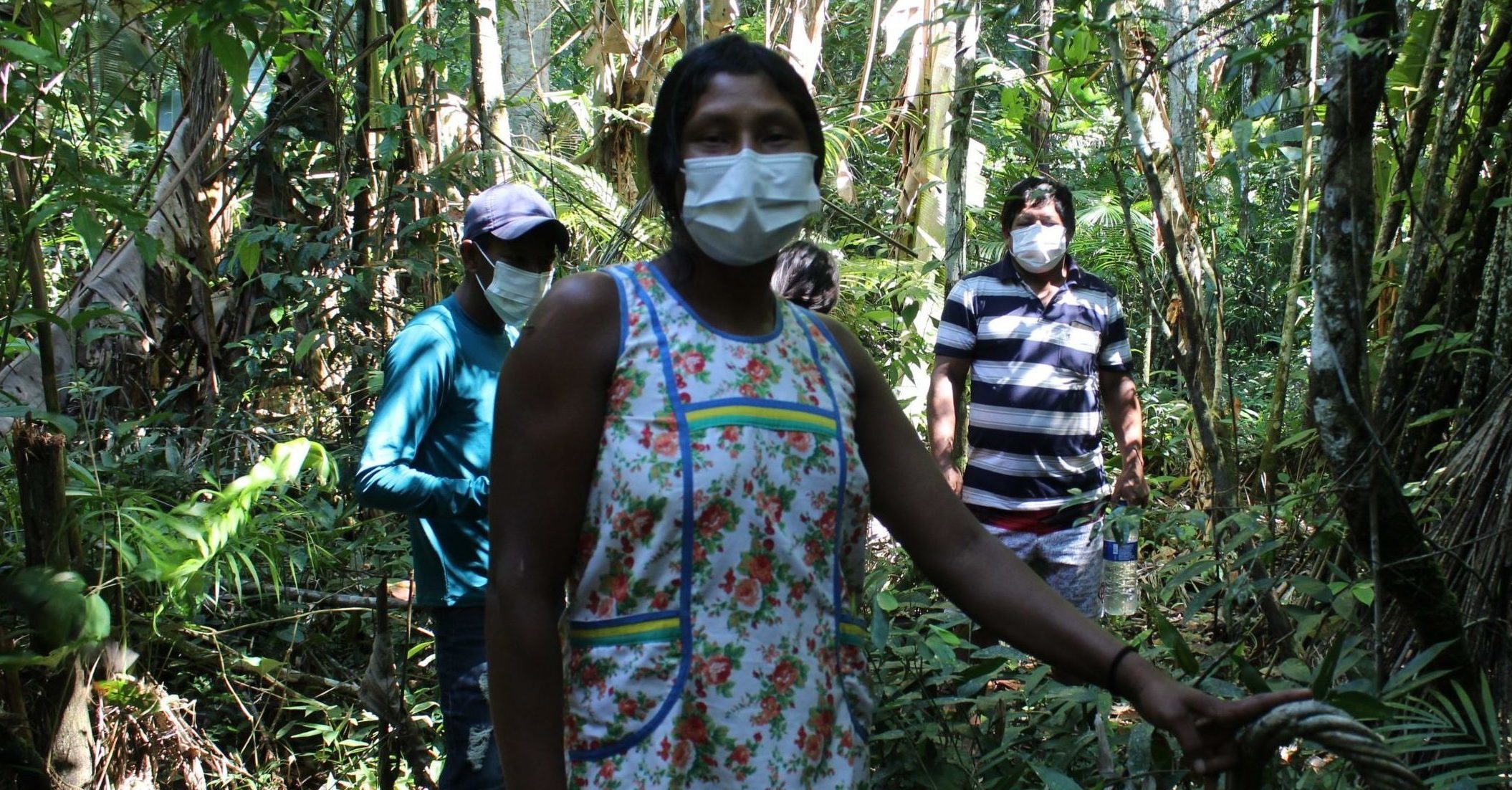 Conhecimento milenar das plantas da floresta começa a ser catalogado